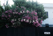 画像をギャラリービューアに読み込む, Art: Photo with Words : NO RAIN NO FLOWERS