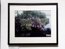 画像をギャラリービューアに読み込む, Art: Photo with Words : NO RAIN NO FLOWERS