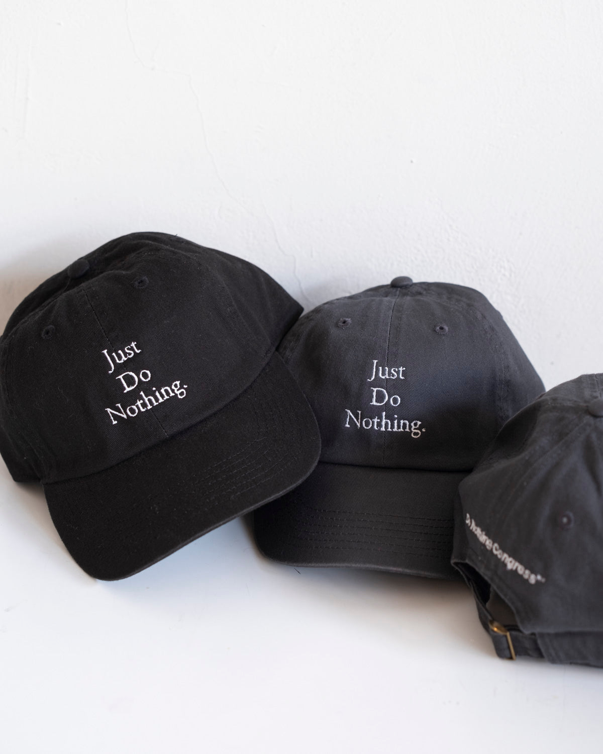 NOTHING – Do Nothing Congress ™