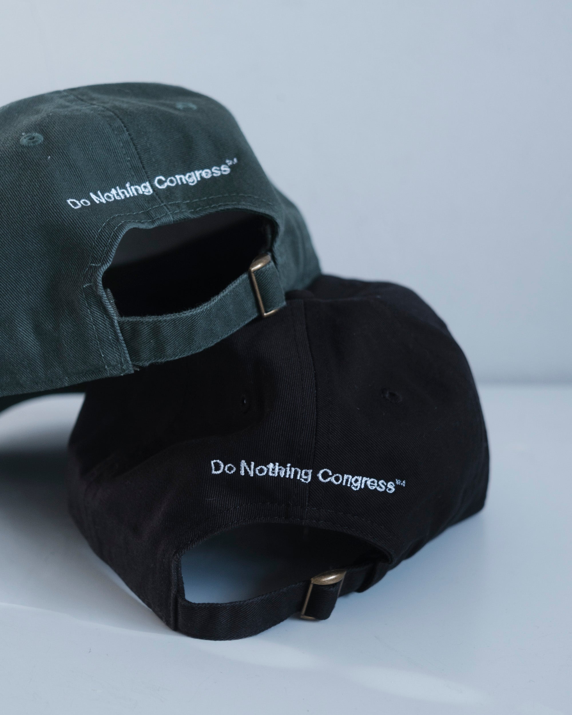 CAP - NEVER WORK – Do Nothing Congress ™