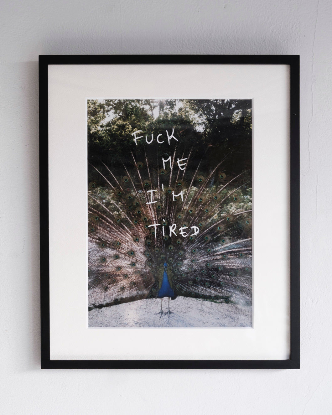 Art:  Photo with Words : FUCK ME I'M TIRED