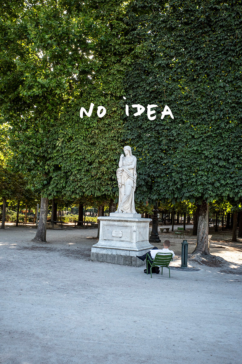 Art:  Photo with Words : NO IDEA